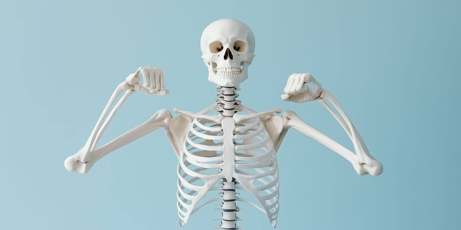 A skeleton in front of a blue wall.