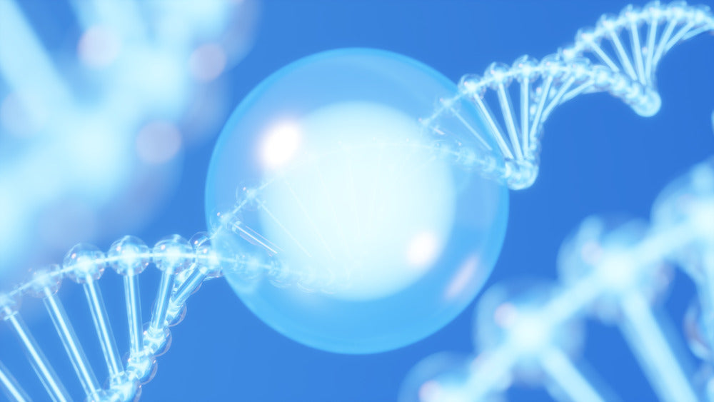 The Rise of Longevity Technology: Tools Designed for Better Aging