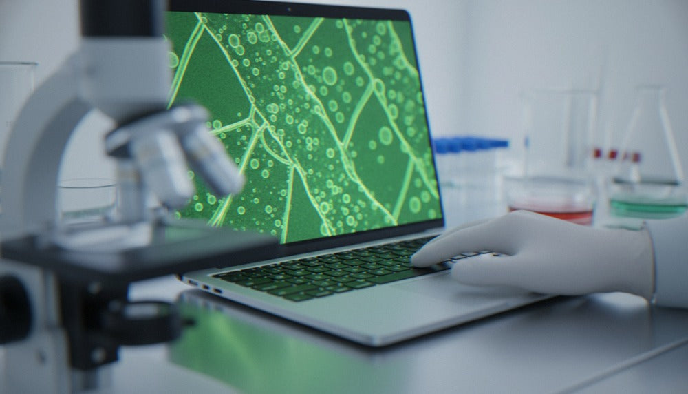 What Is Low-Magnitude Mechanical Stimulation? The Science Behind Regenerative Health and Healthy Longevity