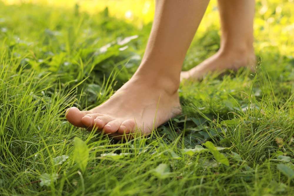 Close up of barefoot girl walking through lush green grass.