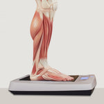 Juvent 1000N Micro-Impact Platform: The 0.3g Vibration Plate